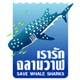 WhaleSharkThai